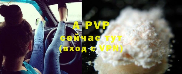 крисы Липки