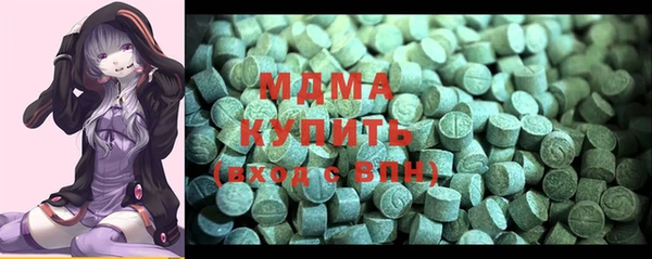 мдпв Гусев