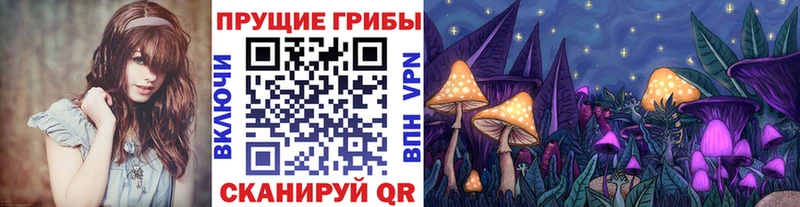 Псилоцибиновые грибы Cubensis  Дудинка 